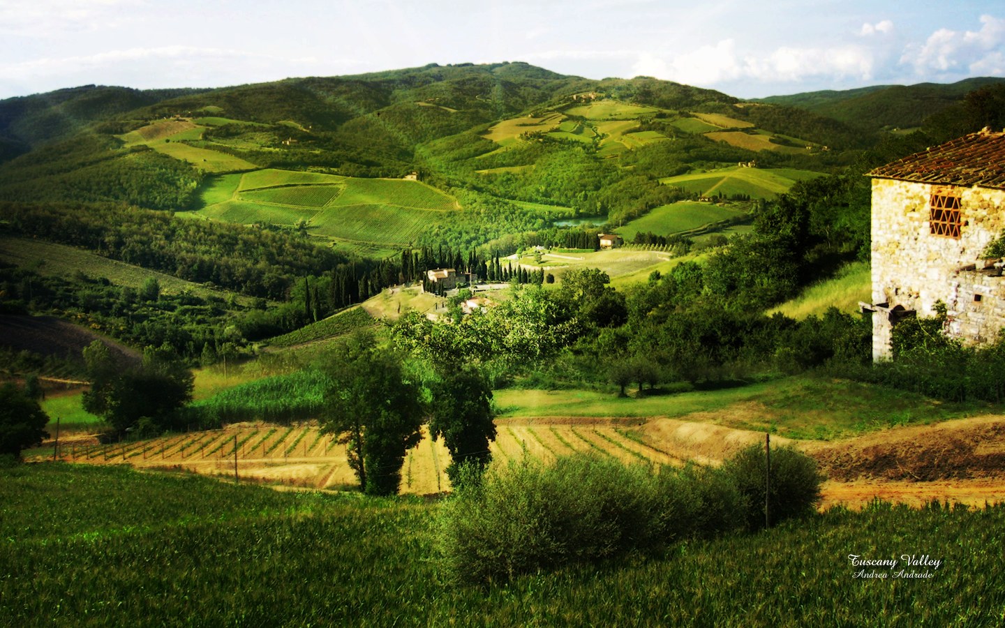 tuscany.jpg